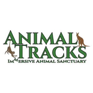 Animal Tracks
